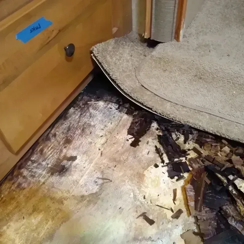 Wood Floor Water Damage in Columbia City, IN